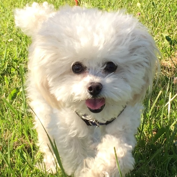 Meet your Posher, Serenity - Picture 1 of 1